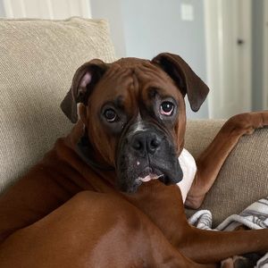 Meet your Posher, Christina